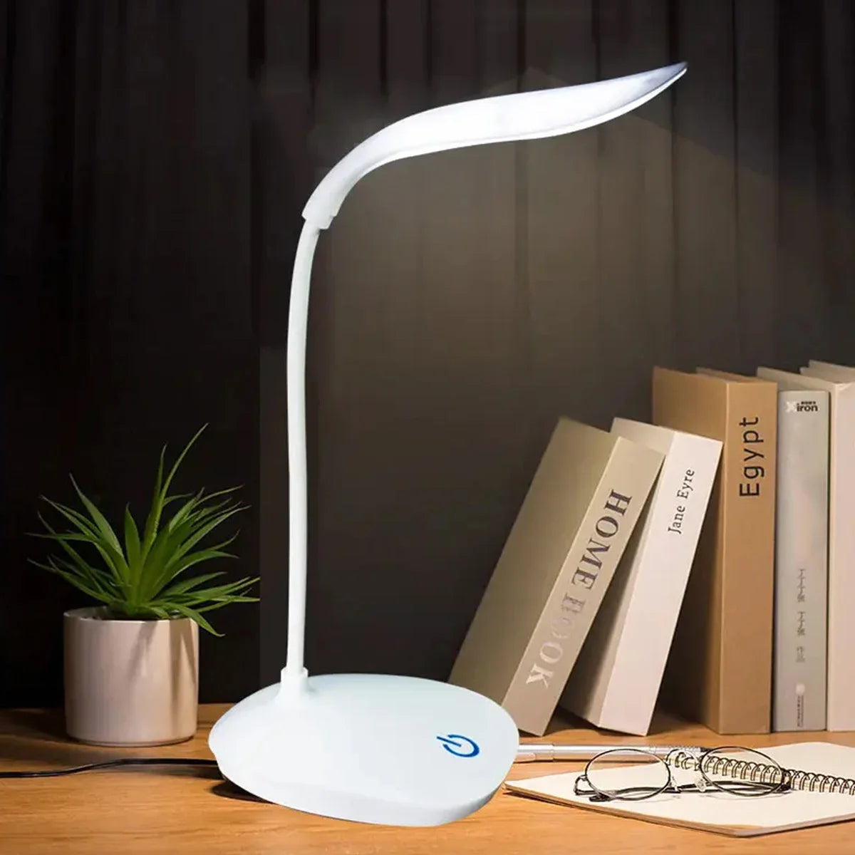 Portable Desk Lamp USB Charging Table Light